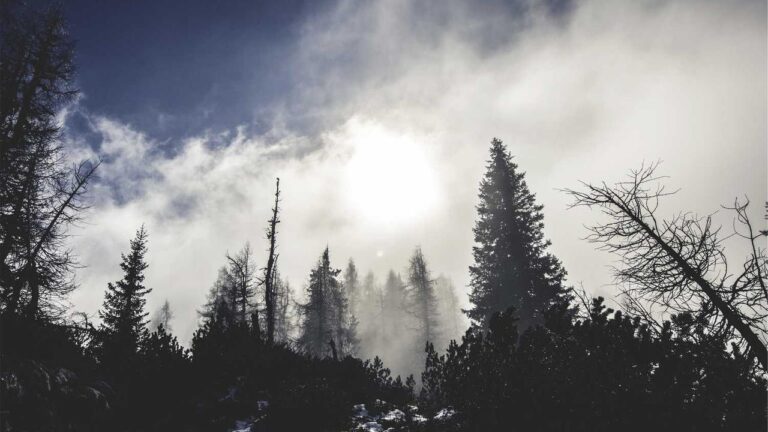 How To Switch Region For 11Xplay Pro Login India?