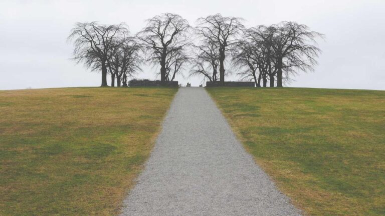 What Features Are Available On Cricbet99.Com Club?